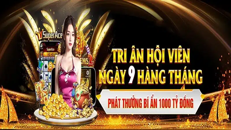 Có nên lựa chọn KM88 để gắn bó lâu dài